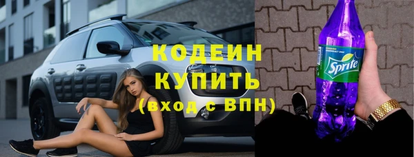 гашик Арсеньев