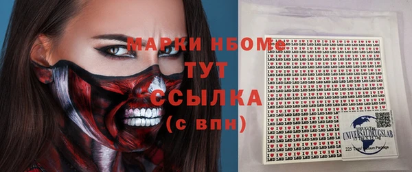 гашик Арсеньев