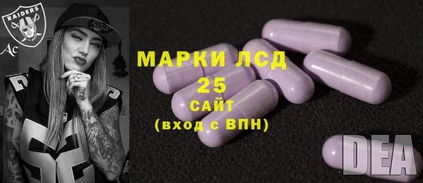 гашик Арсеньев